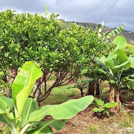 شقة Cantinho Japoneiras *