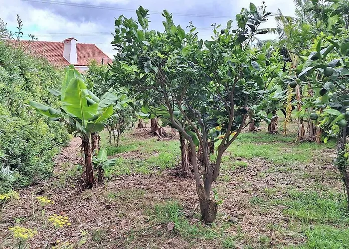 Cantinho Japoneiras Apartamento