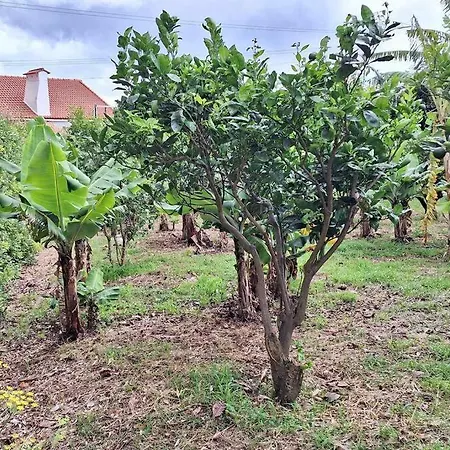 Cantinho Japoneiras Appartement