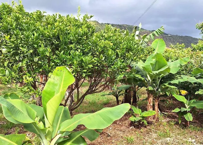 Lägenhet Cantinho Japoneiras *